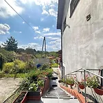Bukowy