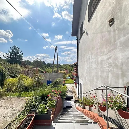 Bukowy